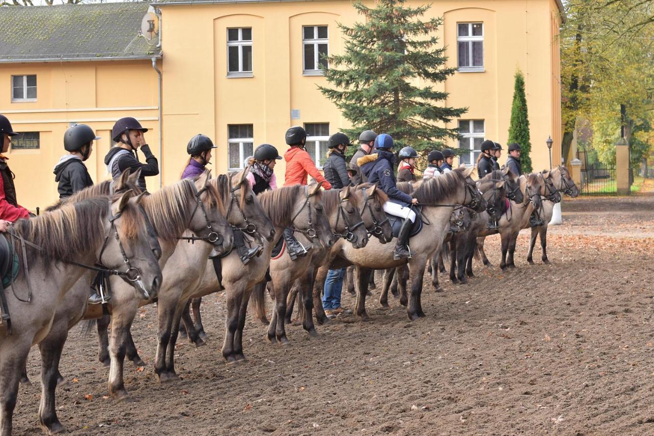 Stado Ogierow Sierakow Hotel Sierakow  Kültér fotó